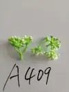 قلب القرنبيط details Picture